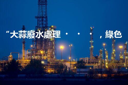 “大蒜廢水處理，綠色環(huán)保新篇章”